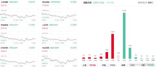 风浪愈急，蛰伏待明——从盘面震荡透视市场博弈与韧性重塑