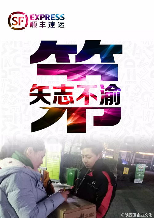 众志成城，创高峰——双十一第四天，燃爆小宇宙！